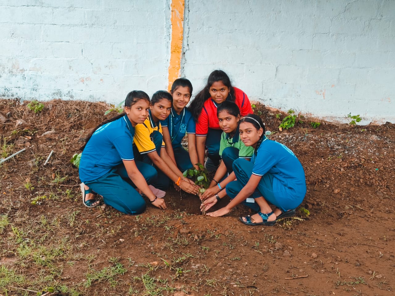 WORLD ENVIRONMENT DAY 5th JUNE–2024 Celebrations